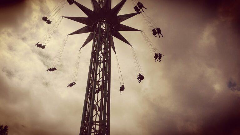 De bedrijven en het vermogen van Gert Verhulst